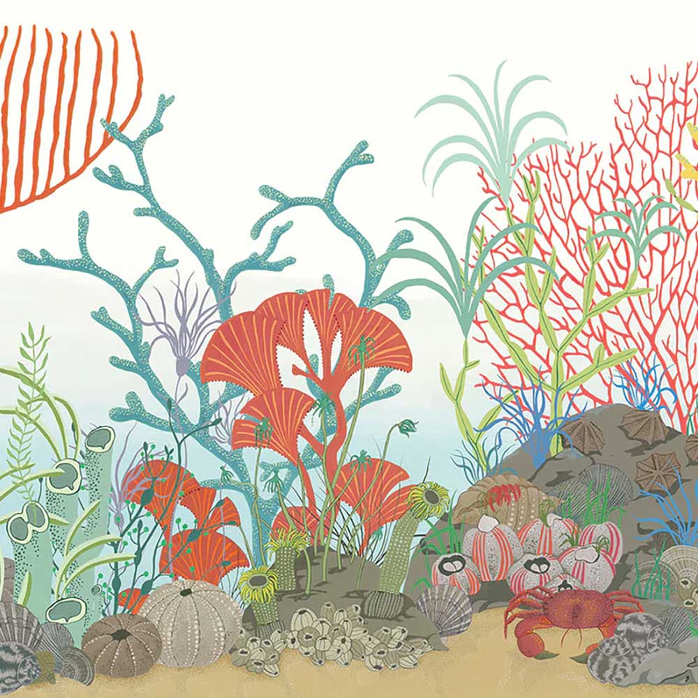 Archipelago Border Wallpaper by Cole & Son - 103/12054 | Modern 2 Interiors