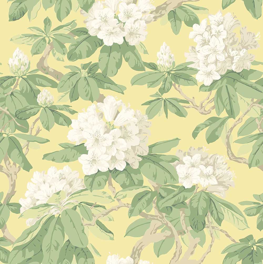 Bourlie Wallpaper by Cole & Son - 99/4021 | Modern 2 Interiors
