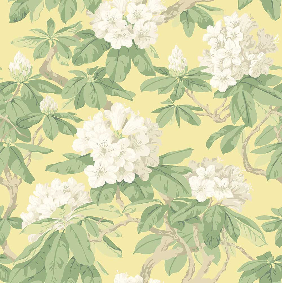 Bourlie Wallpaper by Cole & Son - 99/4021 | Modern 2 Interiors