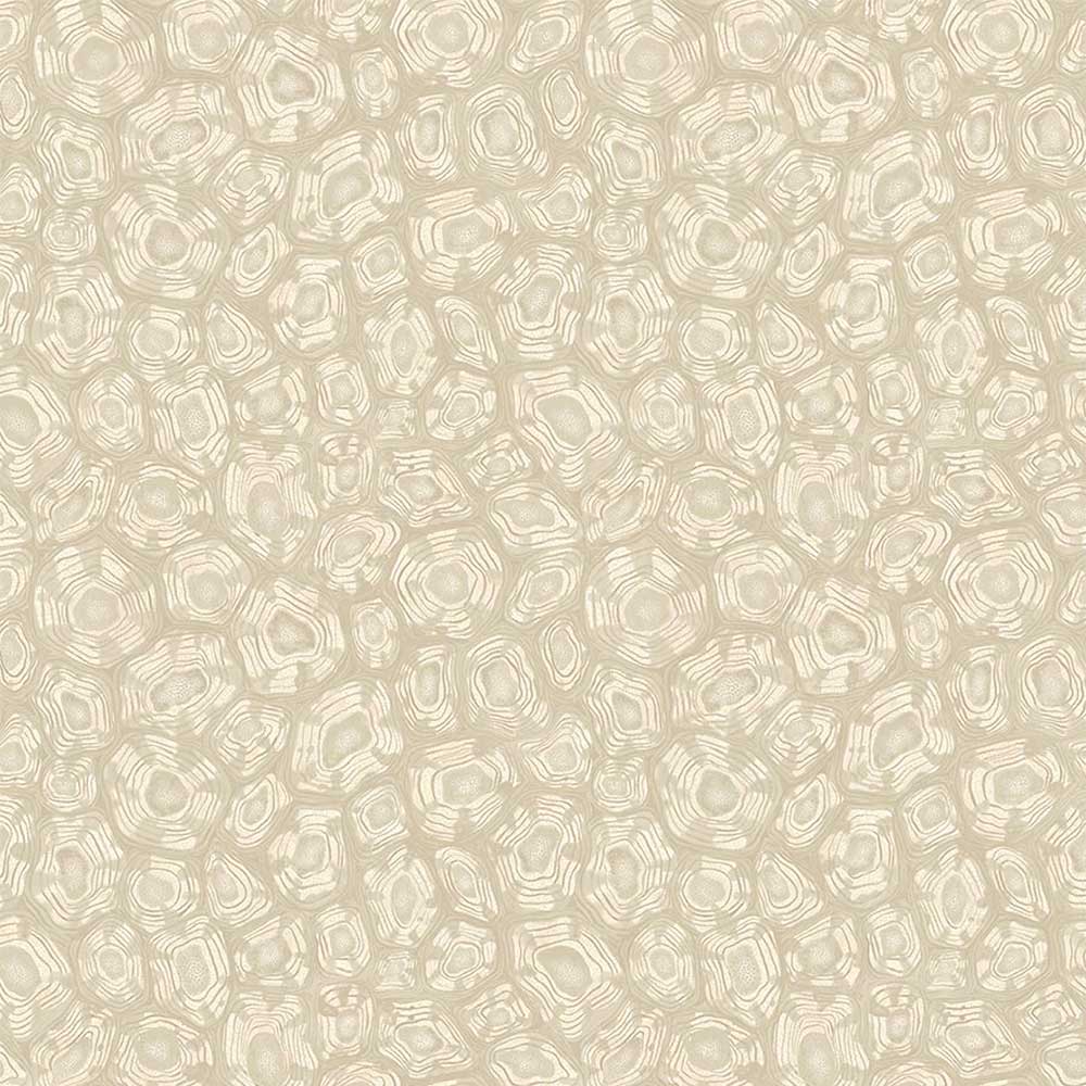 Savanna Shell Wallpaper by Cole & Son - 119/4021 | Modern 2 Interiors