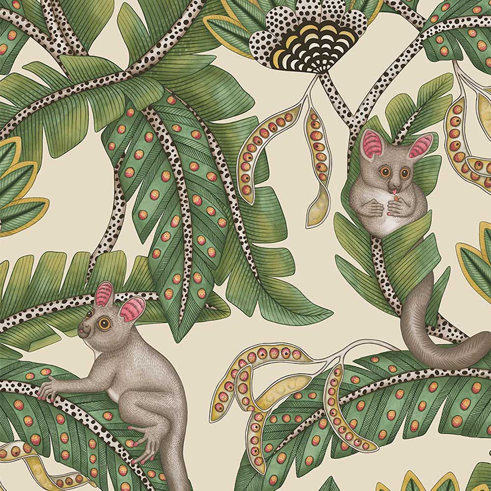 Bush Baby Wallpaper by Cole & Son - 119/7035 | Modern 2 Interiors