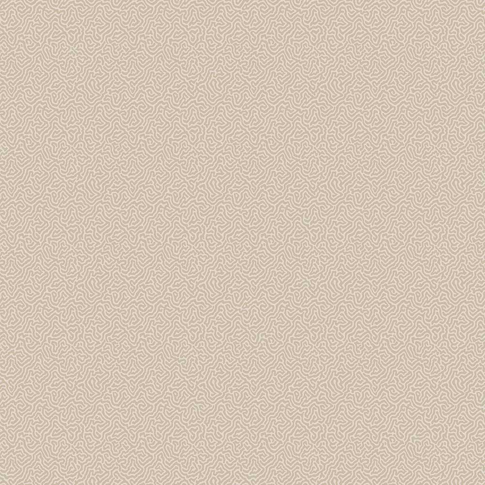 Coral Wallpaper by Cole & Son - 106/5070 | Modern 2 Interiors