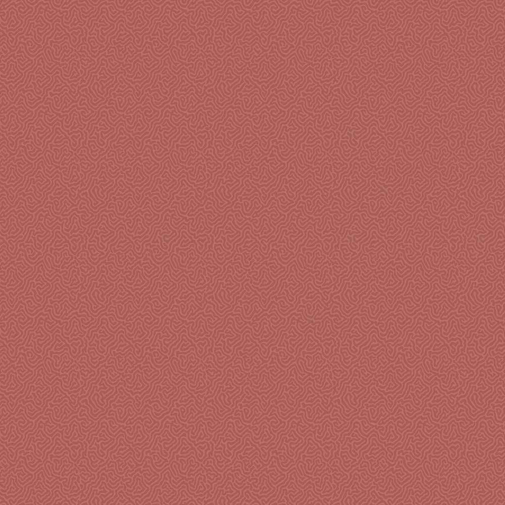 Coral Wallpaper by Cole & Son - 106/5076 | Modern 2 Interiors