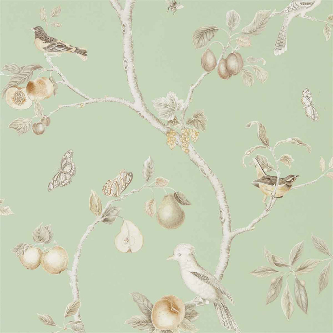 Fruit Aviary Sage & Neutral Wallpaper by Sanderson - 216311 | Modern 2 Interiors