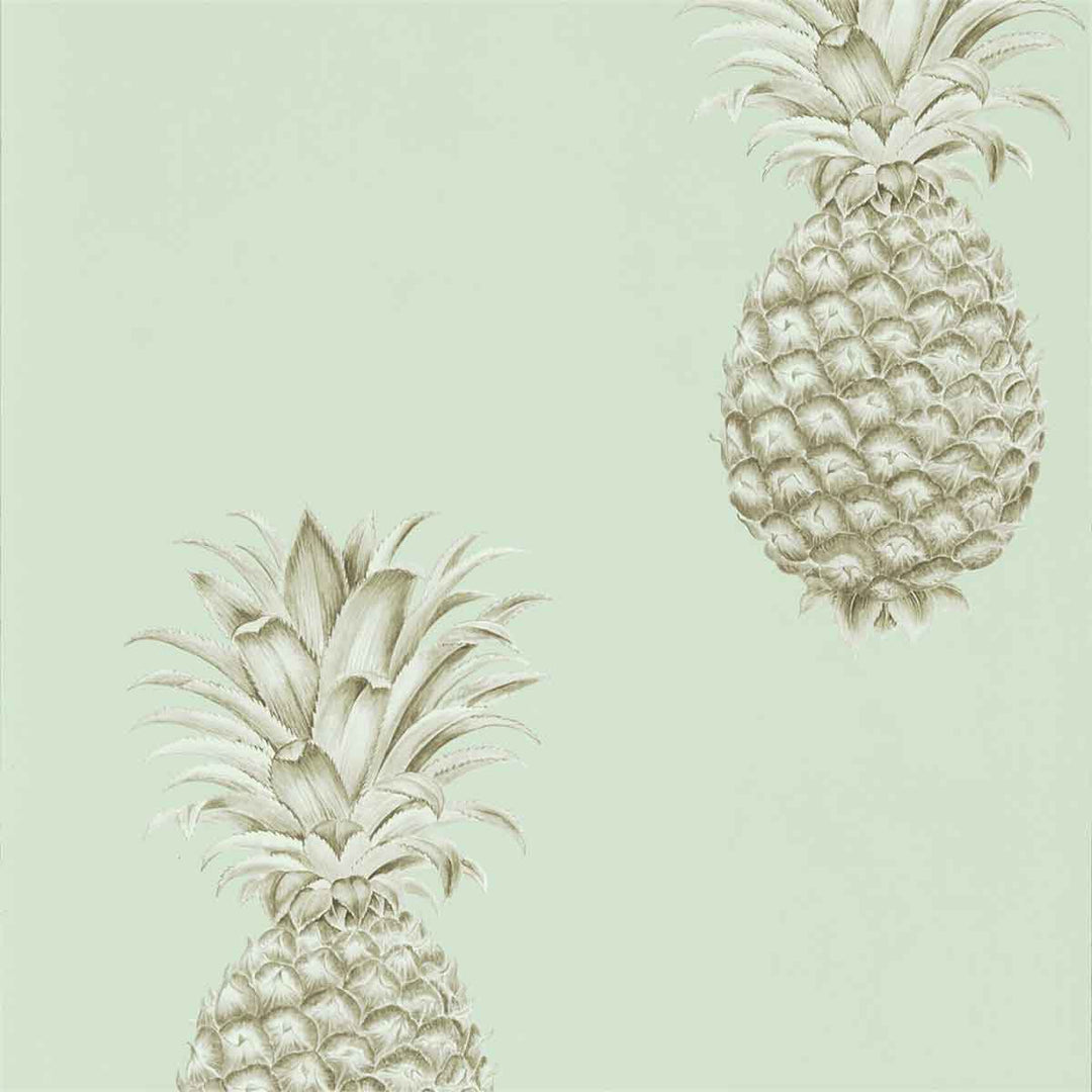 Pineapple Royale Porcelain & Sepia Wallpaper by Sanderson - 216325 | Modern 2 Interiors