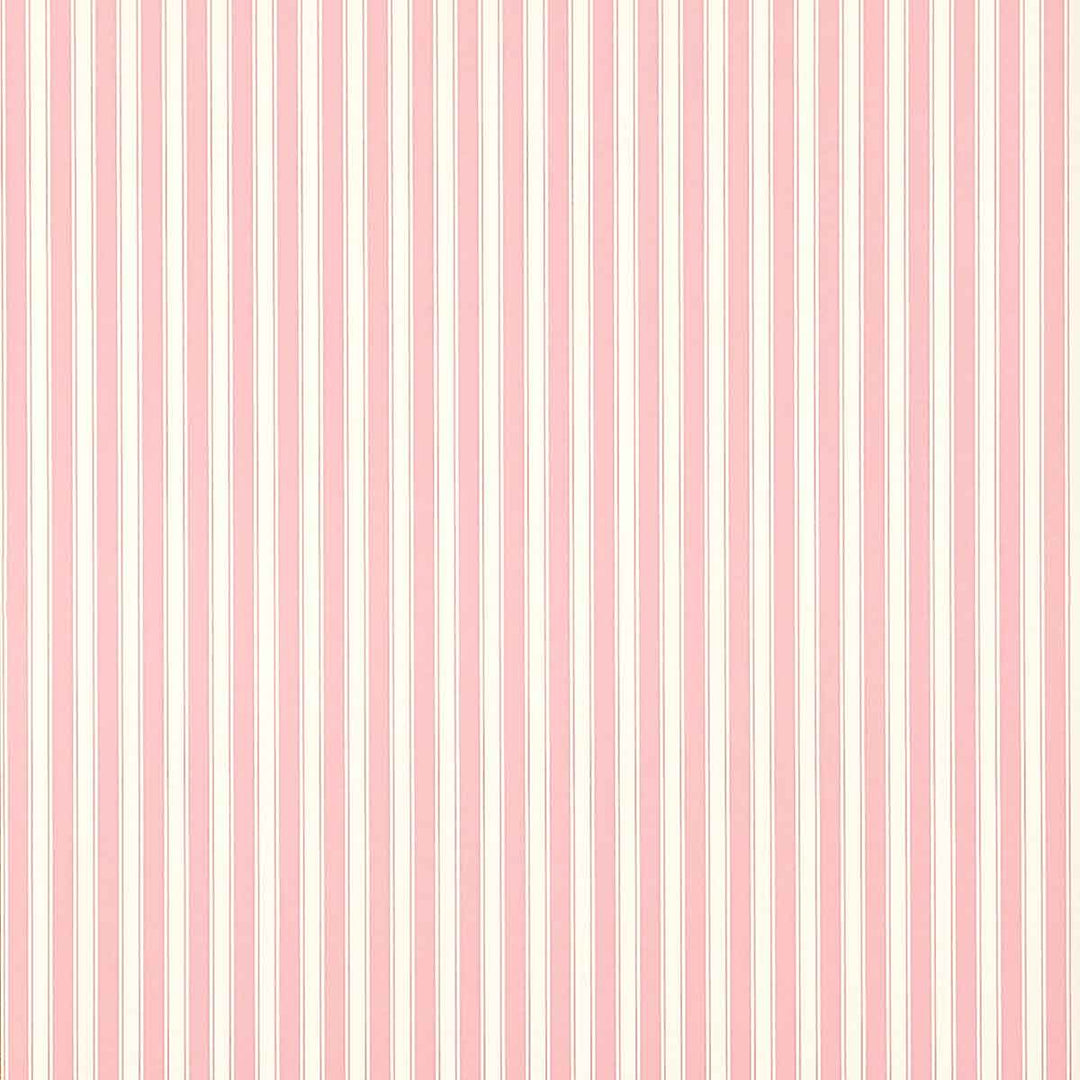 New Tiger Stripe Rose & Ivory Wallpaper by Sanderson - DCAVTP101 | Modern 2 Interiors
