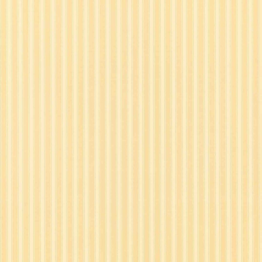 New Tiger Stripe Honey & Cream Wallpaper by Sanderson - DCAVTP104 | Modern 2 Interiors