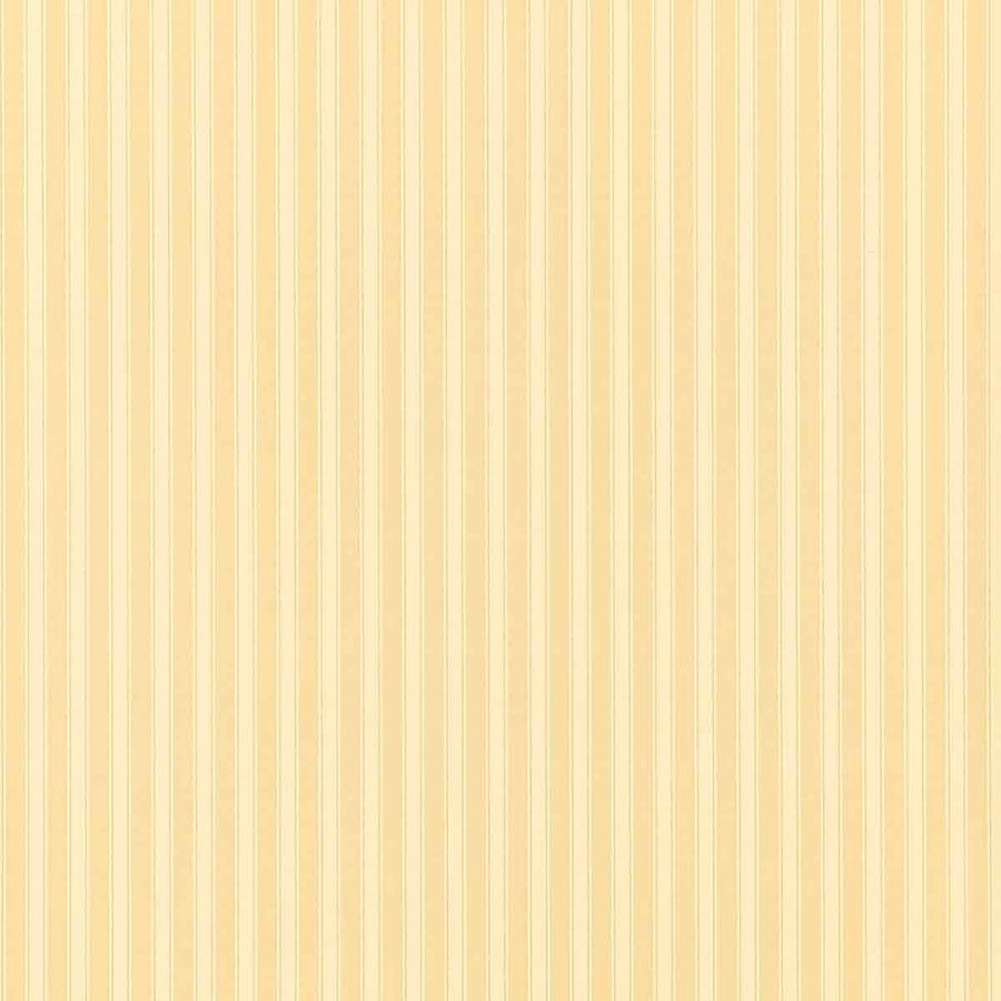 New Tiger Stripe Honey & Cream Wallpaper by Sanderson - DCAVTP104 | Modern 2 Interiors