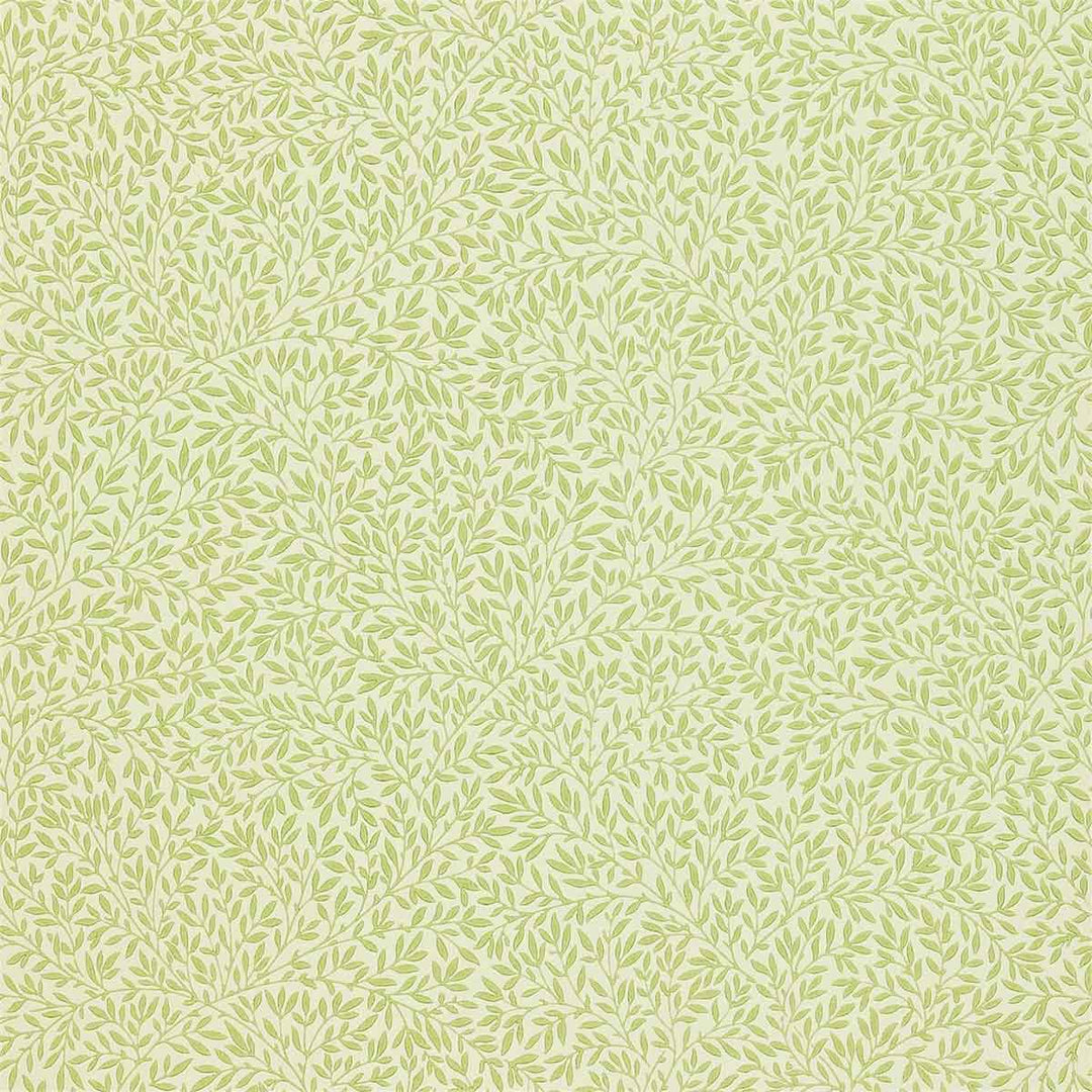 Morris And Co Standen Wallpaper - Fennel - 216833 | Modern 2 Interiors