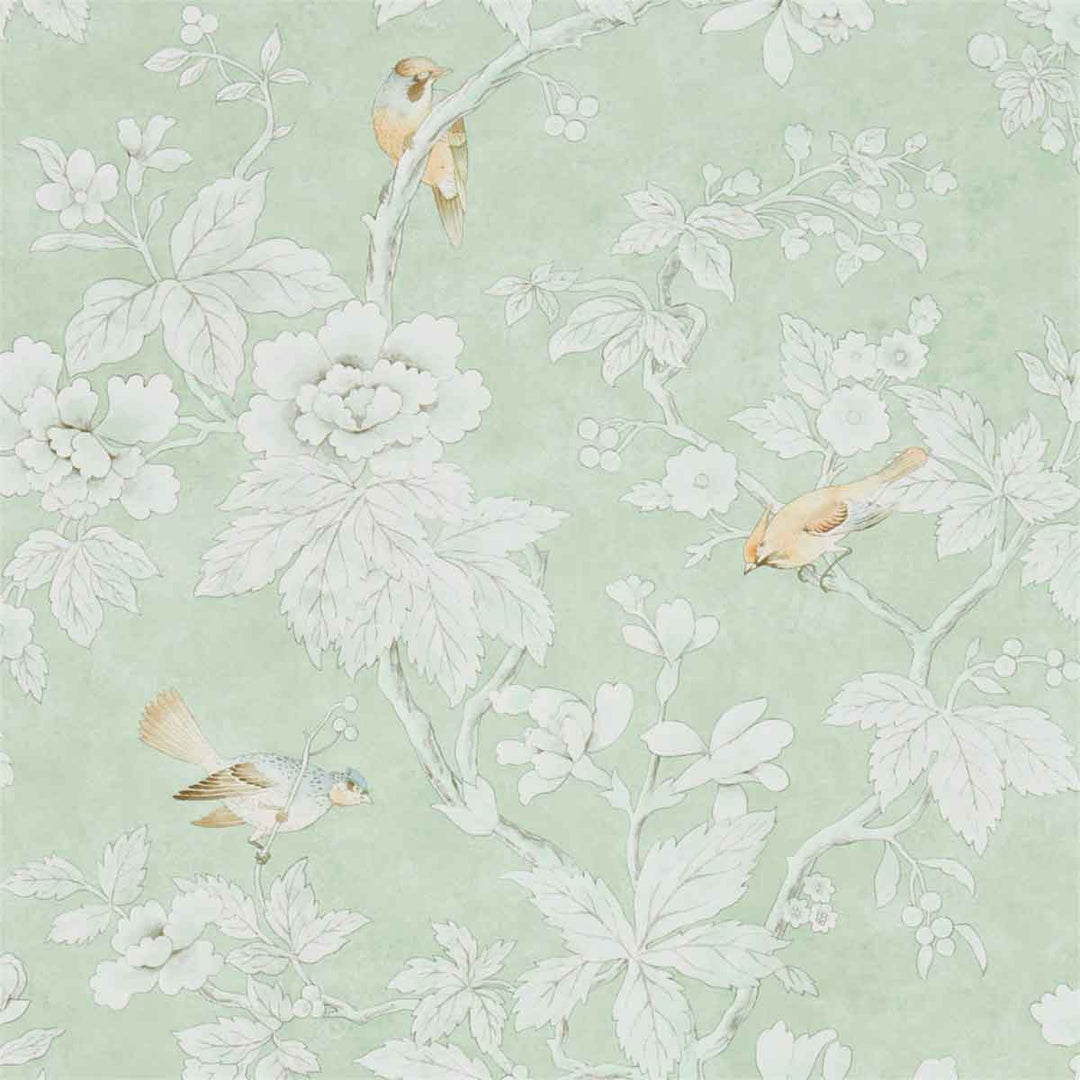 Chiswick Grove Sage Wallpaper by Sanderson - 216387 | Modern 2 Interiors