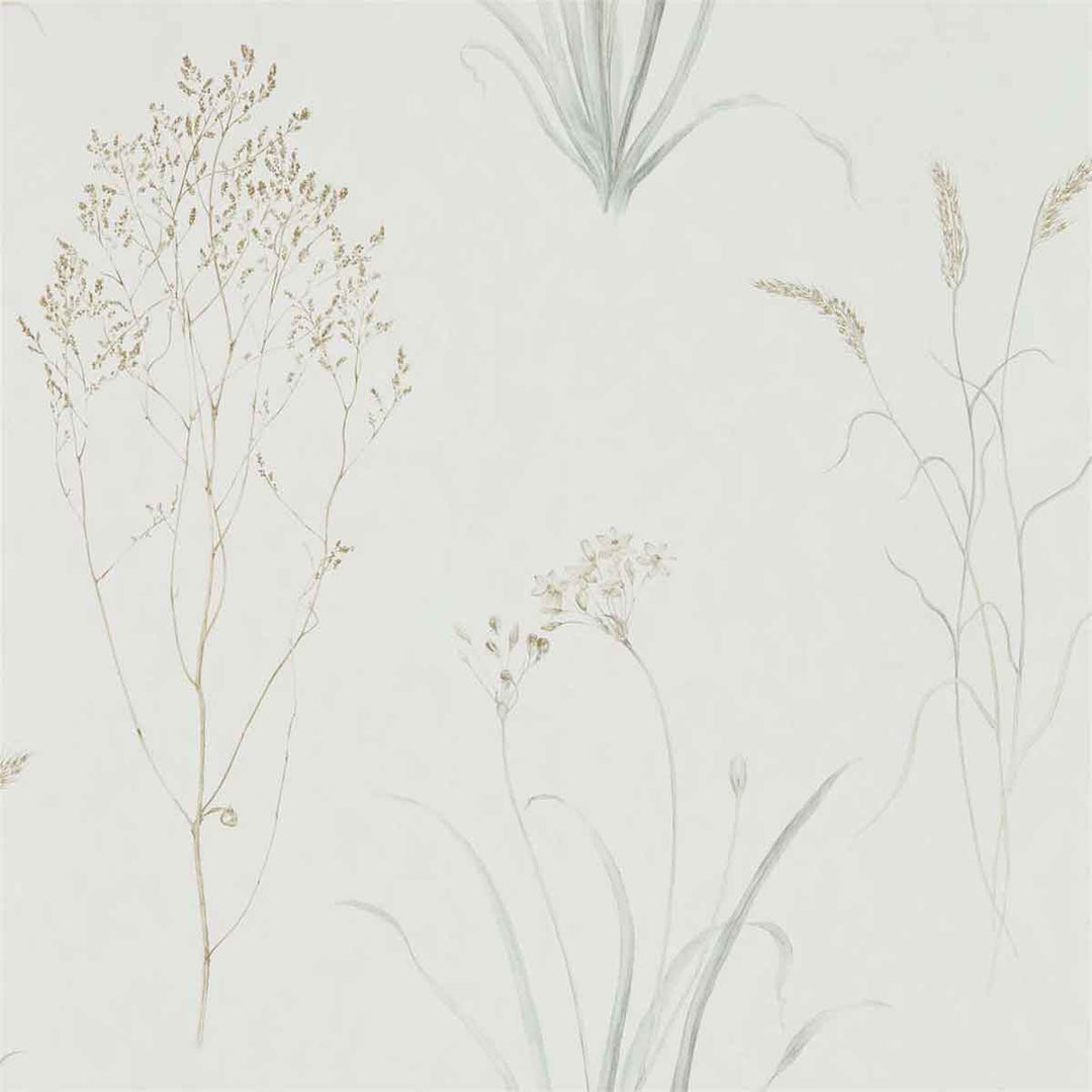 Farne Grasses Silver & Ivory Wallpaper by Sanderson - 216487 | Modern 2 Interiors