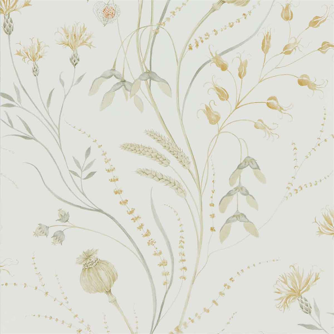 Summer Harvest Silver & Corn Wallpaper by Sanderson - 216497 | Modern 2 Interiors