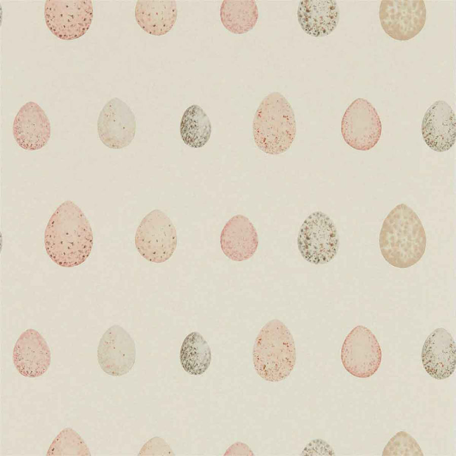 Nest Egg Blush pink Wallpaper by Sanderson - 216506 | Modern 2 Interiors