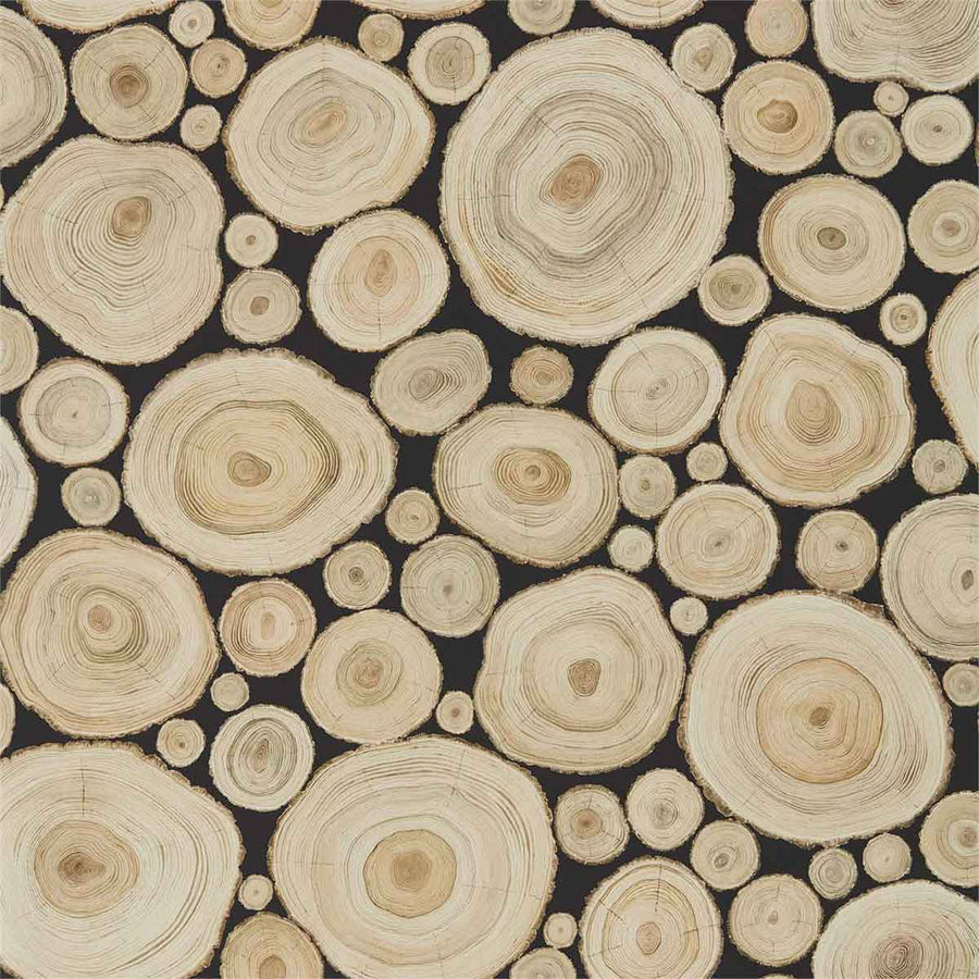 Alnwick Logs Lacquer Black Wallpaper by Sanderson - 216510 | Modern 2 Interiors