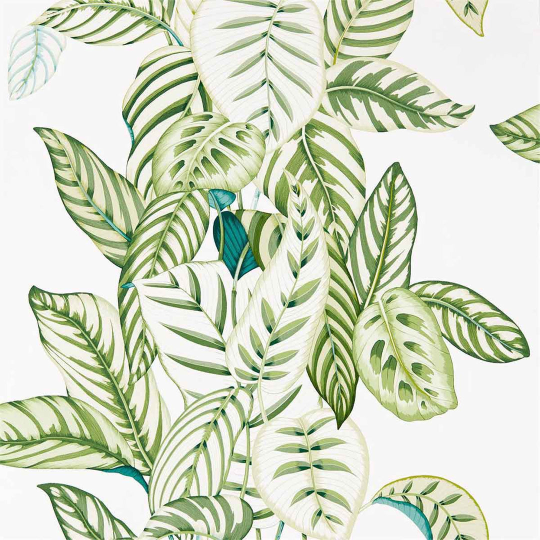 Calathea Botanical Green Wallpaper by Sanderson - 216630 | Modern 2 Interiors