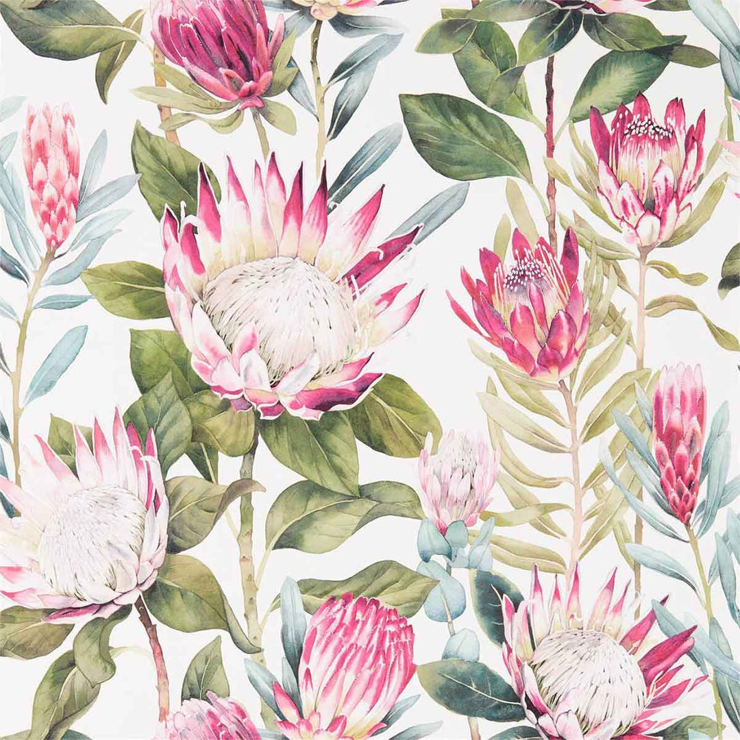 King Protea Rhodera & Cream Wallpaper by Sanderson - 216646 | Modern 2 Interiors