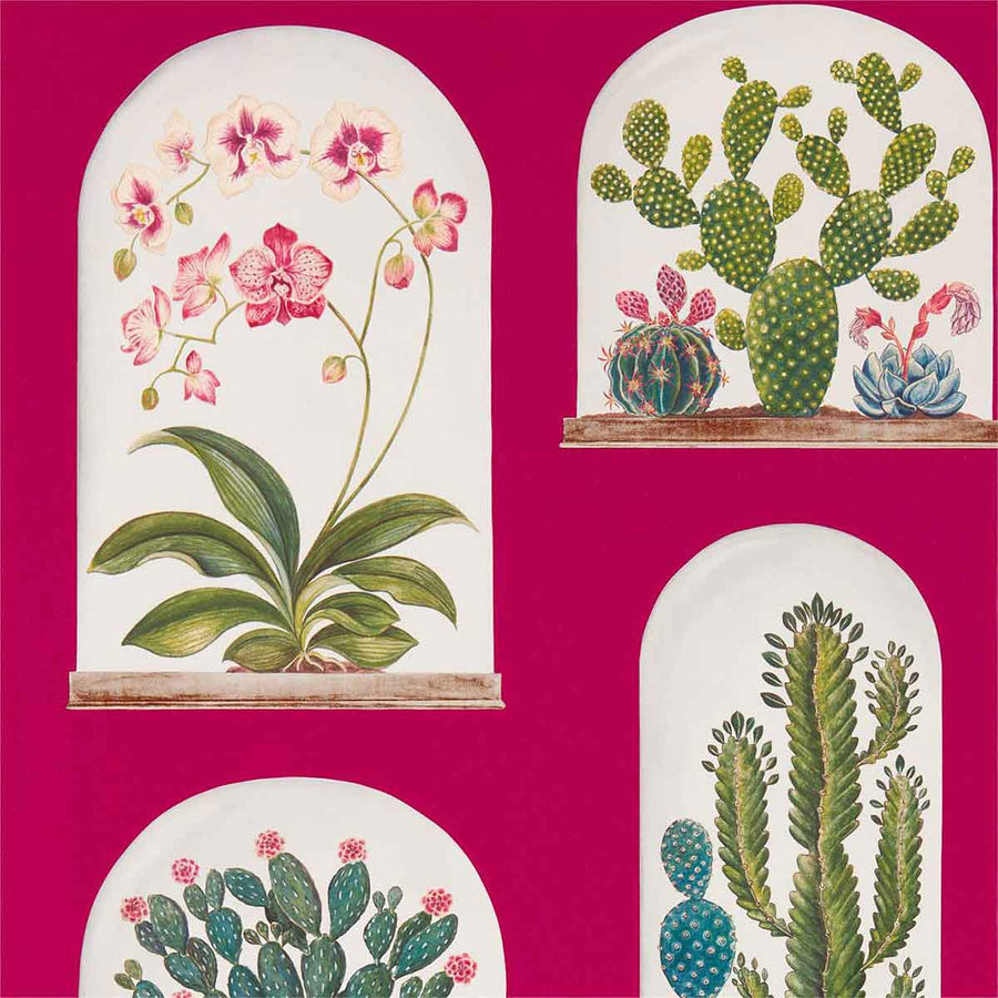 Terrariums Rhodera & multi Wallpaper by Sanderson - 216657 | Modern 2 Interiors