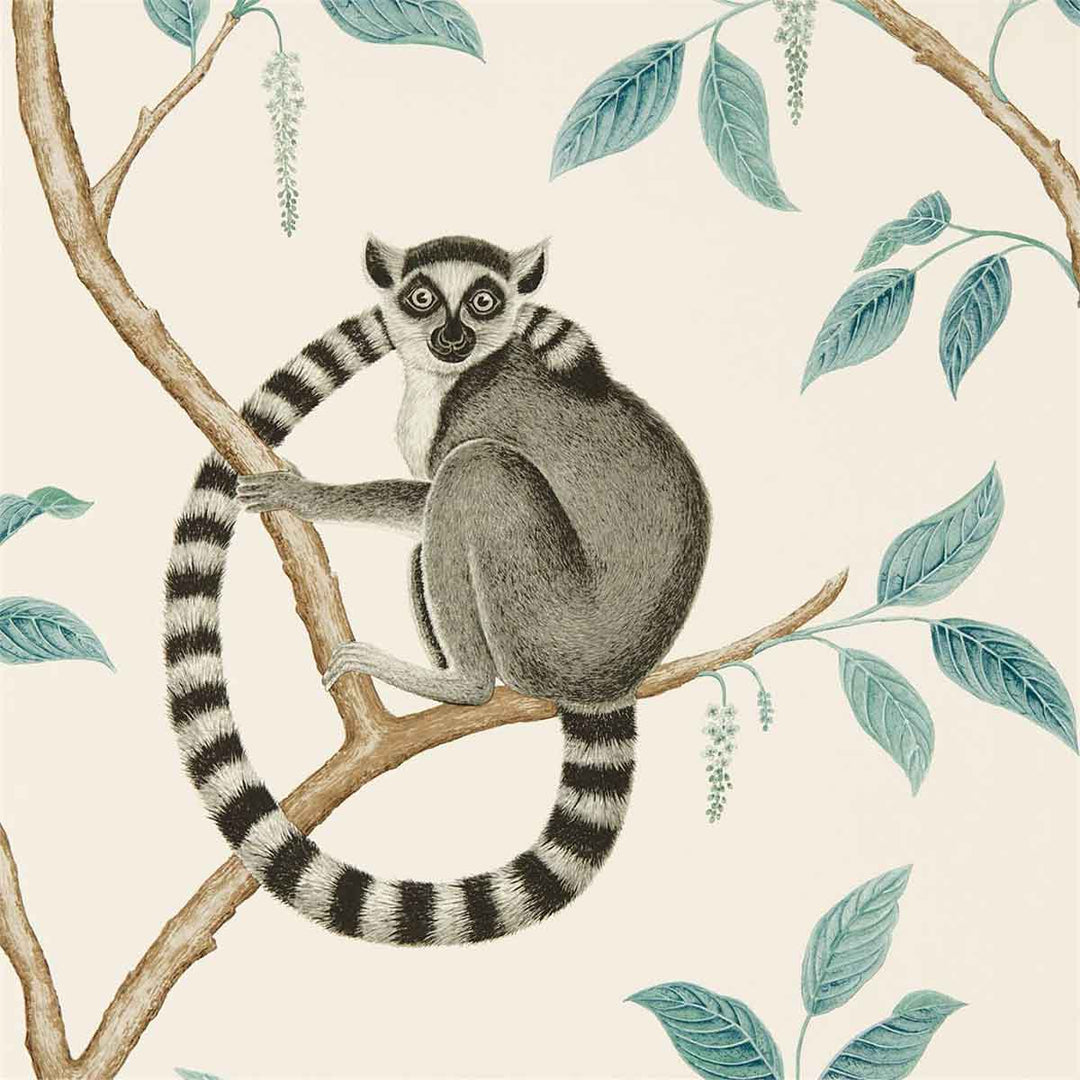 Ringtailed Lemur Stone & Eucalyptus Wallpaper by Sanderson - 216665 | Modern 2 Interiors
