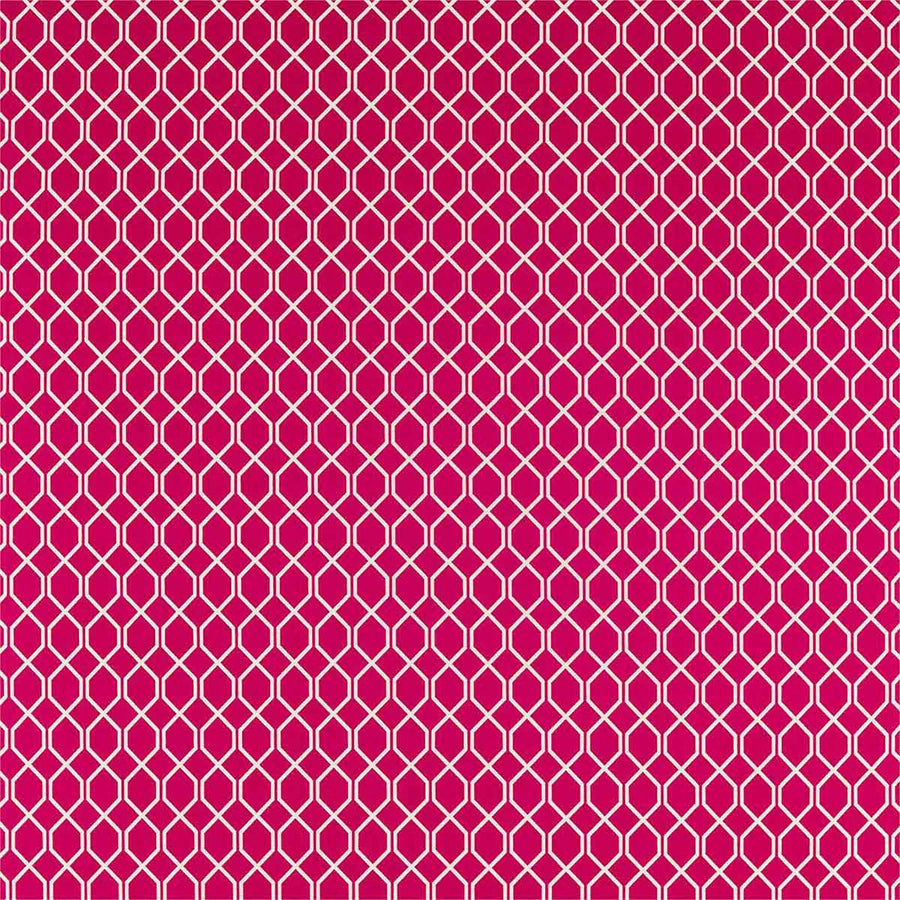 Botanic Trellis Rhodera Fabric by Sanderson - 236795 | Modern 2 Interiors