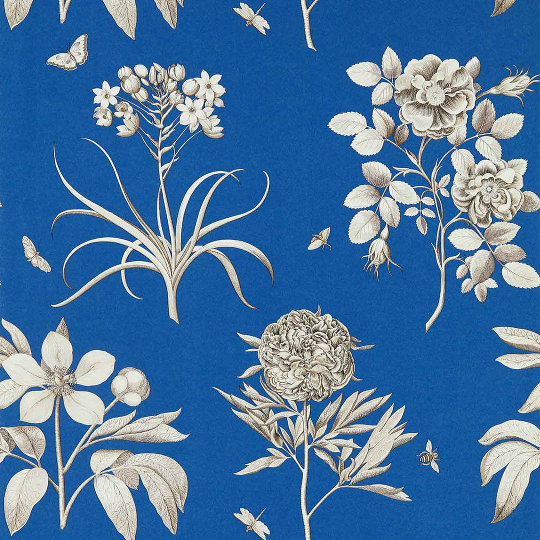 Etchings French Blue Wallpaper by Sanderson - DOSW217053 | Modern 2 Interiors