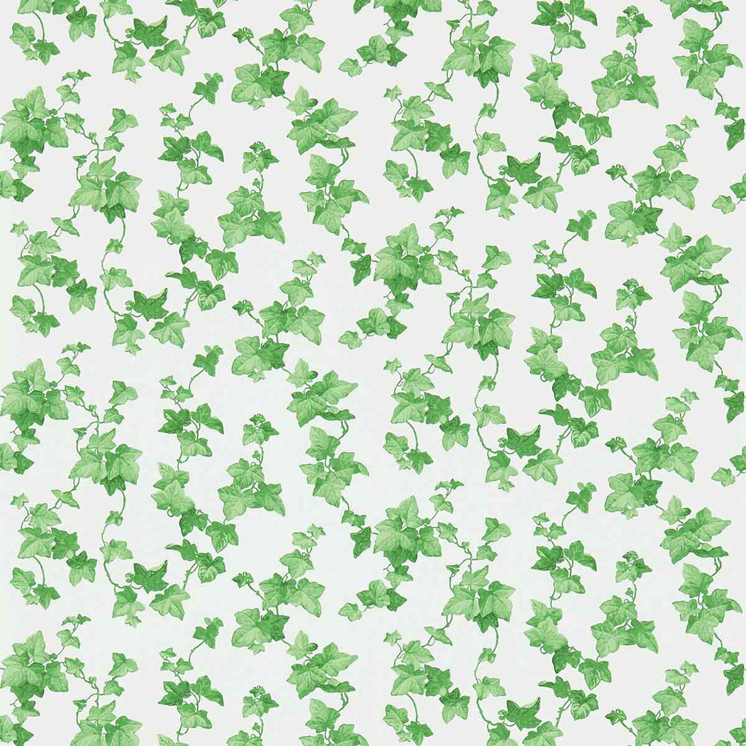 Hedera Green Wallpaper by Sanderson - DVIN214593 | Modern 2 Interiors