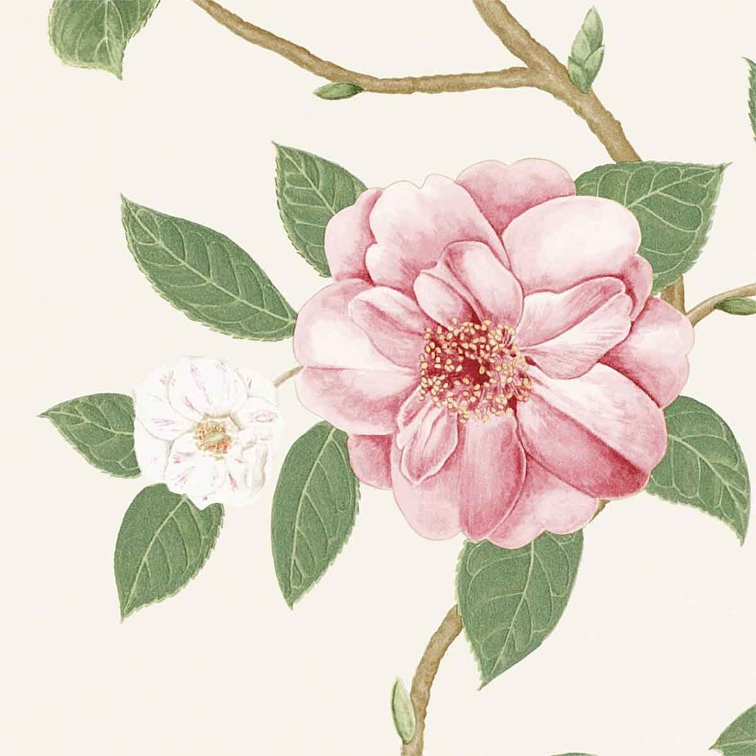 Christabel Coral & Ivory Wallpaper by Sanderson - 213374 | Modern 2 Interiors