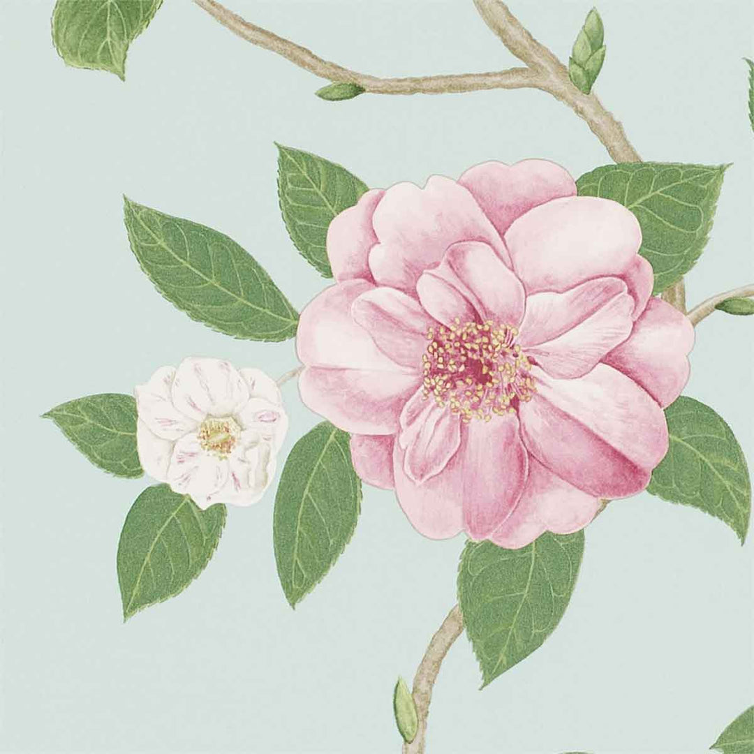 Christabel Pink & Sky Wallpaper by Sanderson - 213378 | Modern 2 Interiors