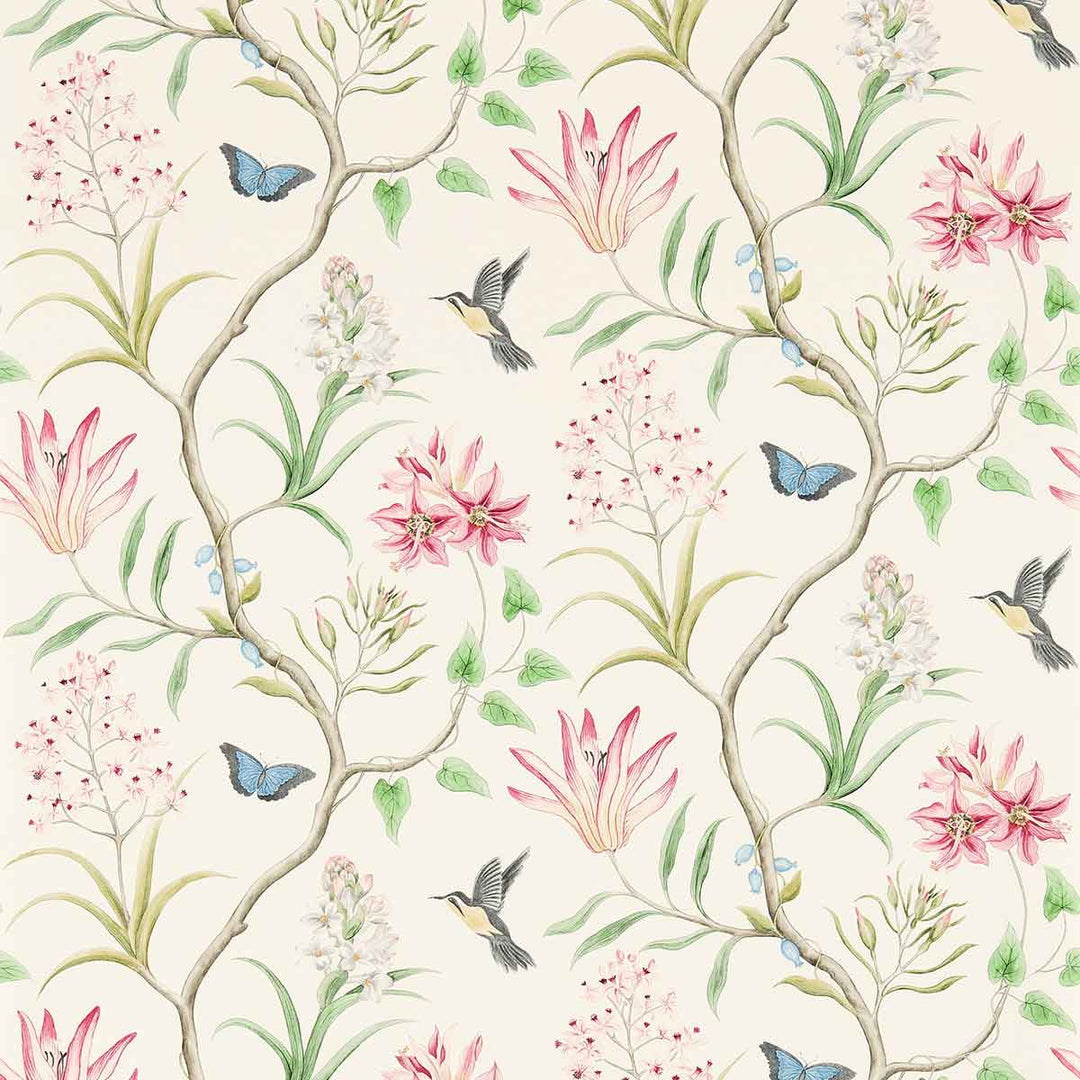 Clementine Chintz Wallpaper by Sanderson - DVOY213388 | Modern 2 Interiors