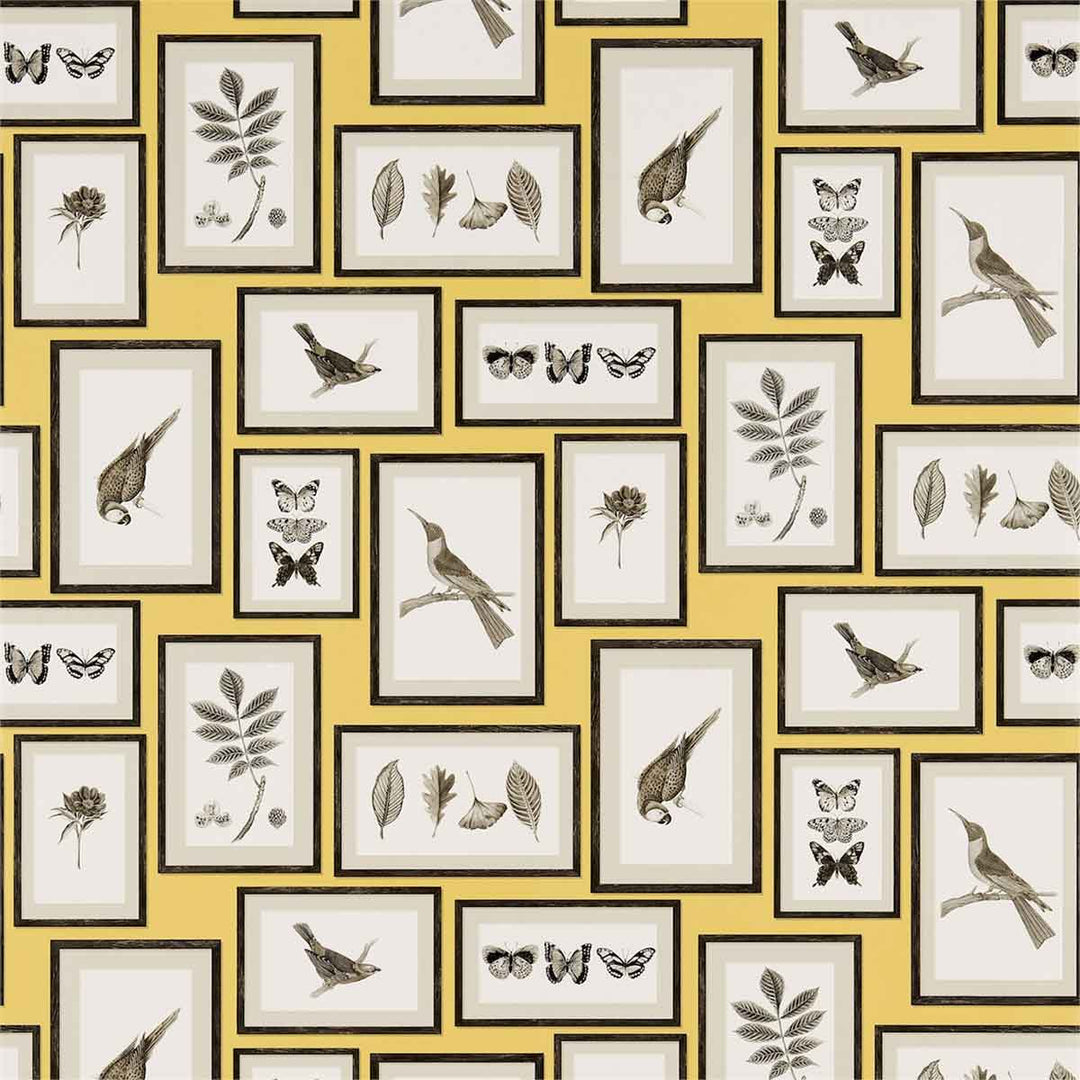 Picture Gallery Yellow & Chartreuse Wallpaper by Sanderson - 213396 | Modern 2 Interiors