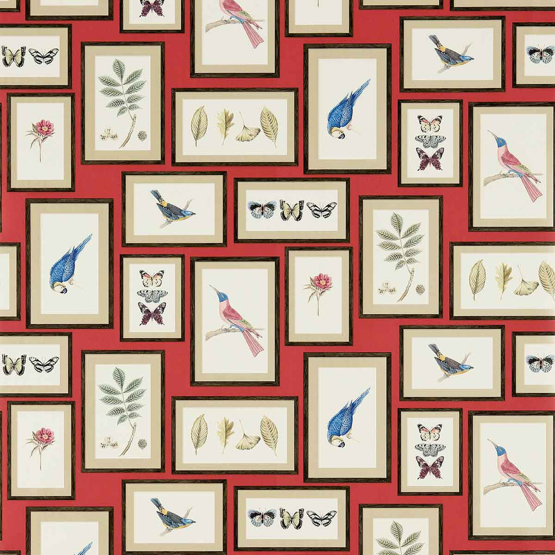 Picture Gallery Red & Multi Wallpaper by Sanderson - DVOY213398 | Modern 2 Interiors