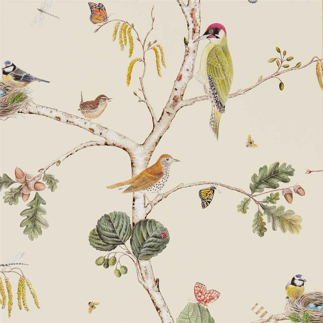 Woodland Chorus Cream & Multi Wallpaper by Sanderson - 215703 | Modern 2 Interiors