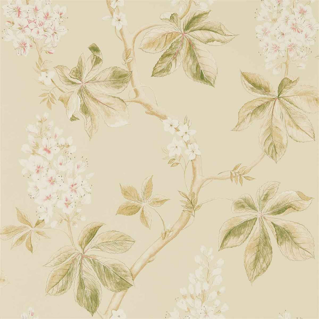 Chestnut Tree Coral & Bayleaf Wallpaper by Sanderson - 215709 | Modern 2 Interiors