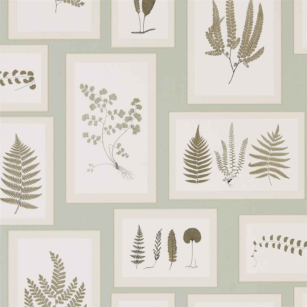 Fern Gallery Blue & Sepia Wallpaper by Sanderson - 215715 | Modern 2 Interiors