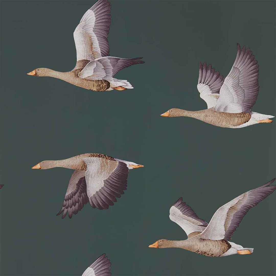 Elysian Geese Amsterdam Green Wallpaper by Sanderson - 216608 | Modern 2 Interiors