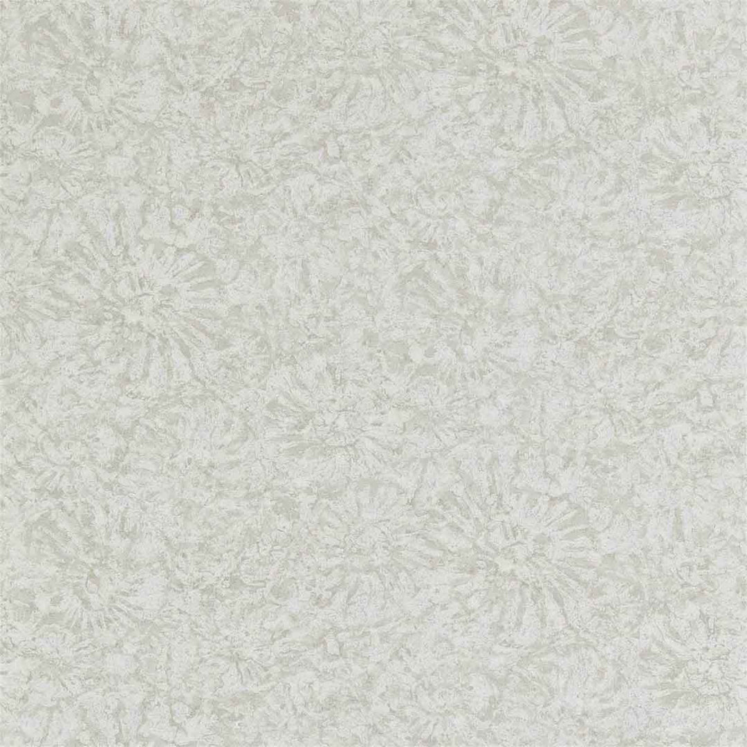 Ammonite Pumice Wallpaper by Anthology - 112560 | Modern 2 Interiors