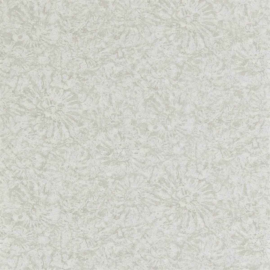 Ammonite Pumice Wallpaper by Anthology - 112560 | Modern 2 Interiors