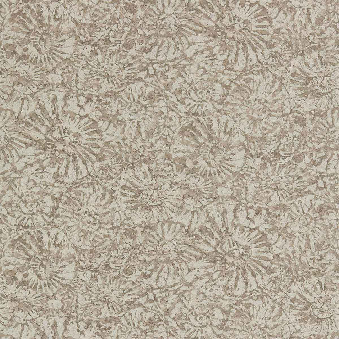 Ammonite Shell Wallpaper by Anthology - 112564 | Modern 2 Interiors