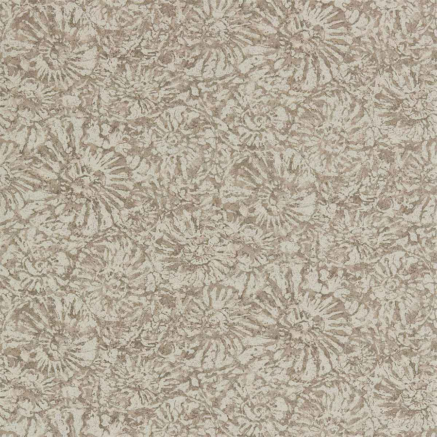 Ammonite Shell Wallpaper by Anthology - 112564 | Modern 2 Interiors