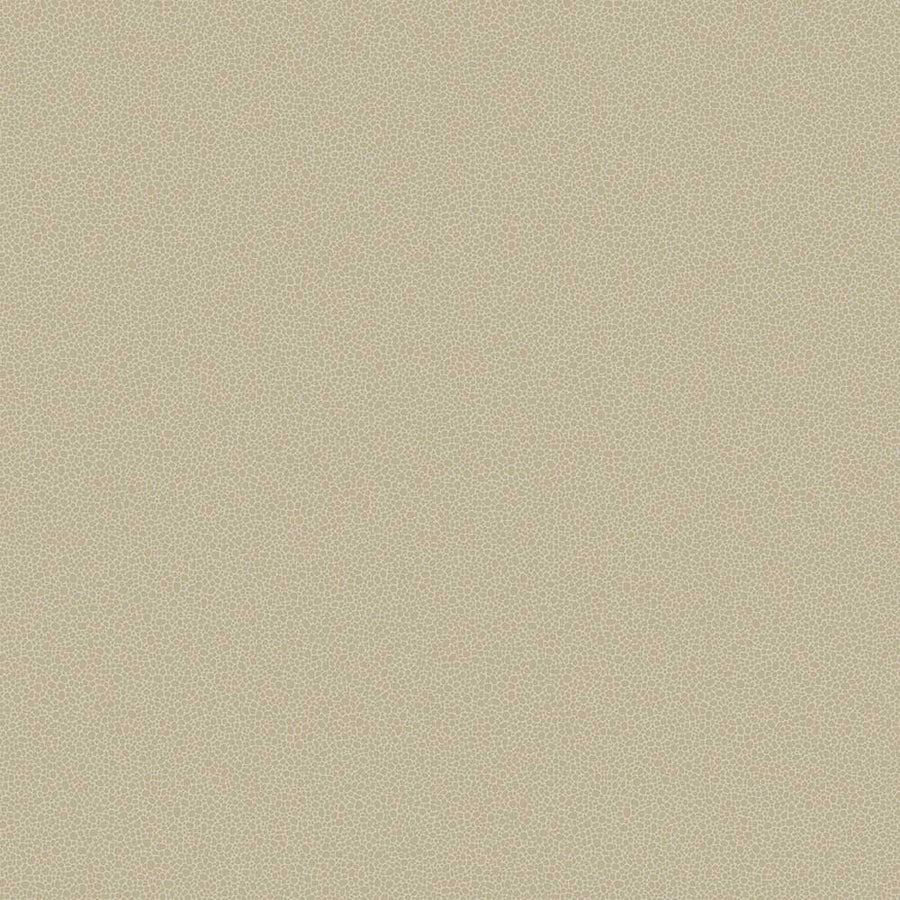 Goldstone Wallpaper by Cole & Son - 107/9042 | Modern 2 Interiors