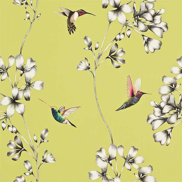 Harlequin Amazilia Wallpaper - Gooseberry - 111061 | Modern 2 Interiors