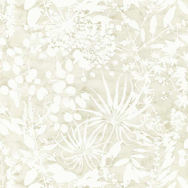 Harlequin Coralline Wallpaper - Pebble - 111638 | Modern 2 Interiors