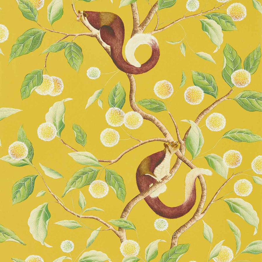 Nellie Honey & Meadow Wallpaper by Harlequin - 112905 | Modern 2 Interiors