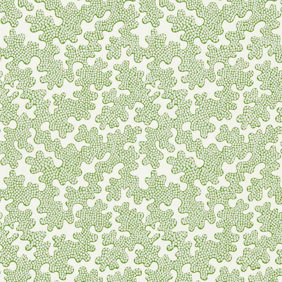 Harlequin Zori Wallpaper | Forest & First Light | 112934