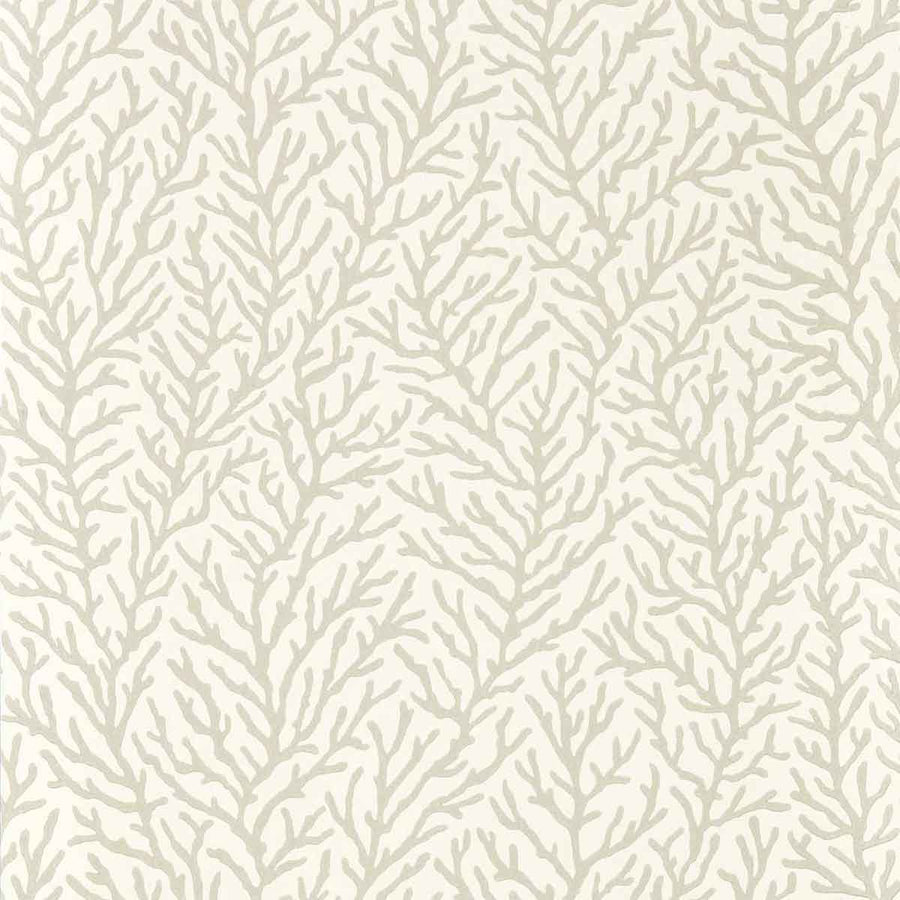 Atoll Awakening & Diffused Light Wallpaper by Harlequin - 112770 | Modern 2 Interiors