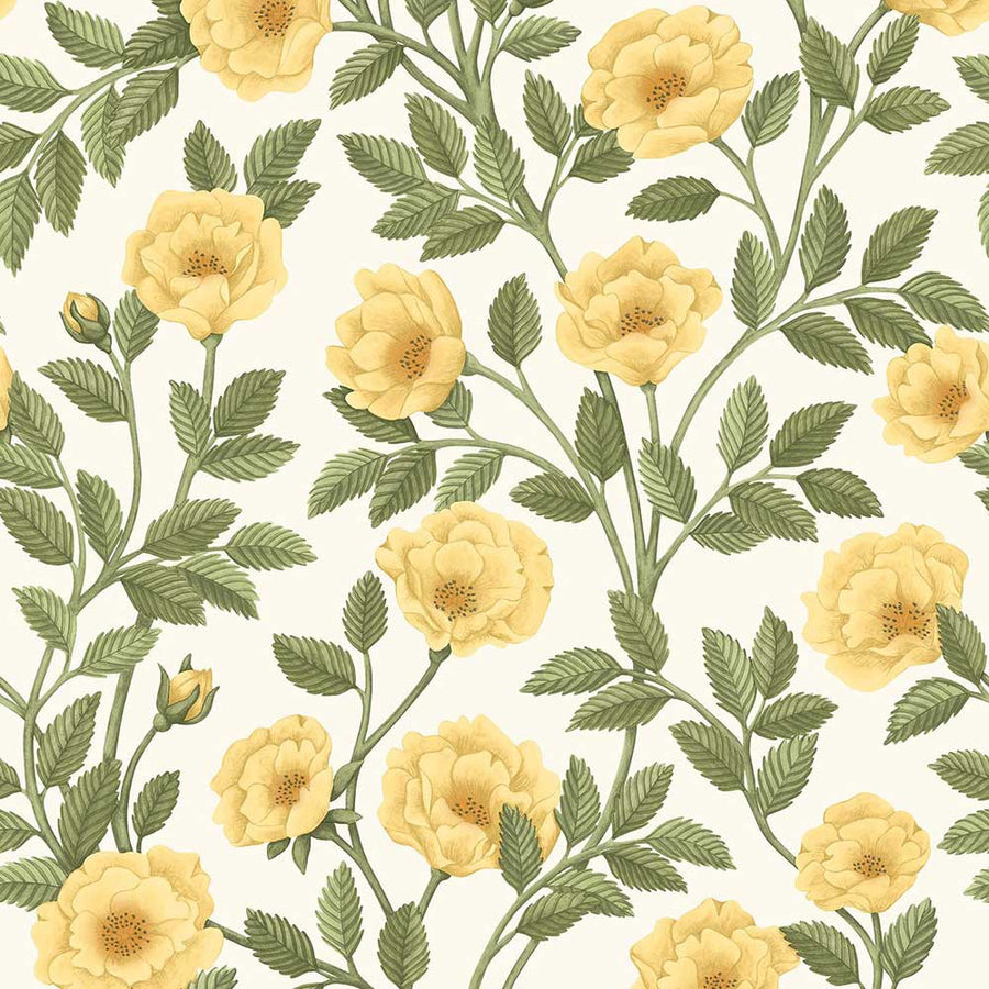 Hampton Roses Wallpaper by Cole & Son - 118/7015 | Modern 2 Interiors