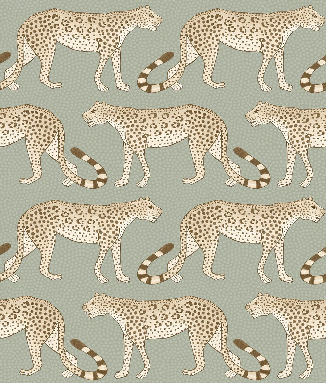 Leopard Walk Wallpaper by Cole & Son - 109/2009 | Modern 2 Interiors