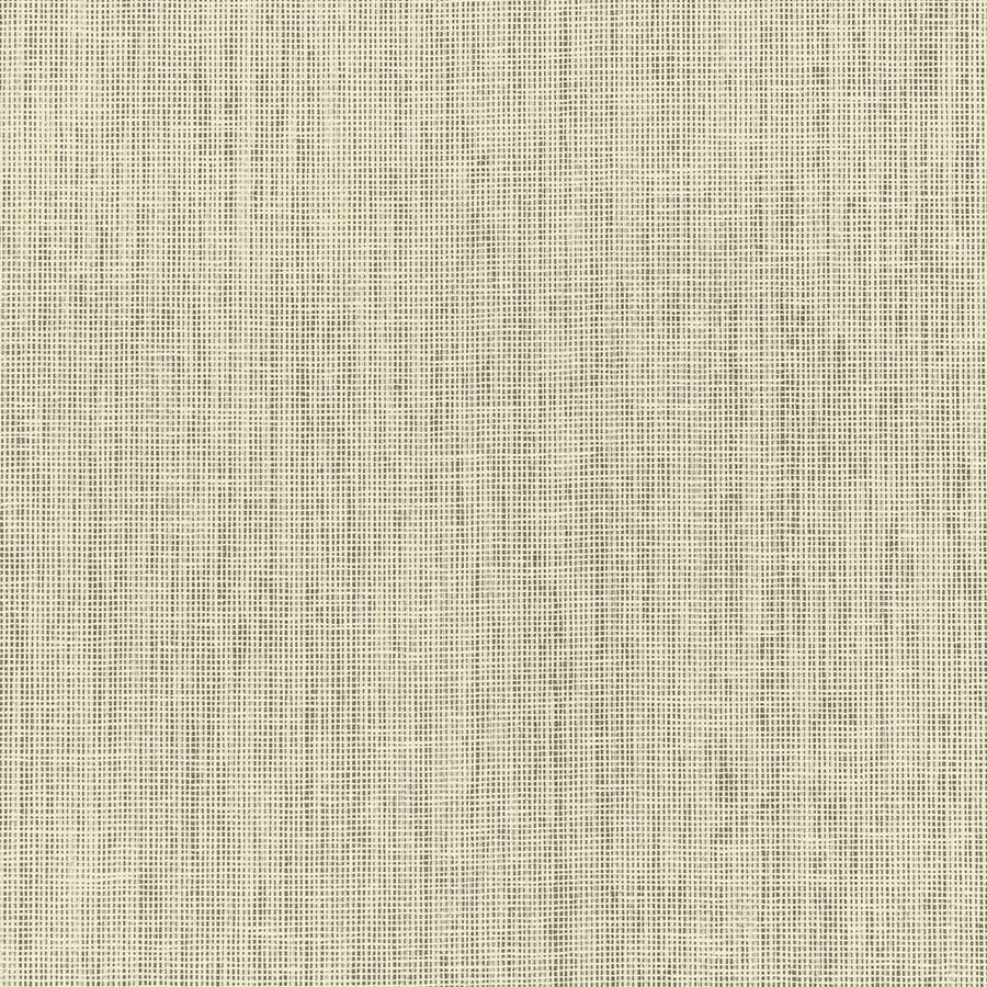 Ori Almond Wallpaper by Mark Alexander - MW109/01 | Modern 2 Interiors