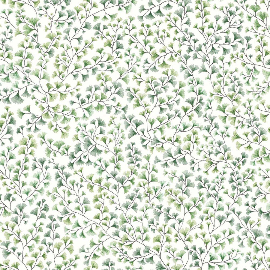 Maidenhair Wallpaper by Cole & Son - 115/6018 | Modern 2 Interiors