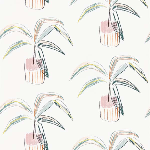 Crassula Blush Wallpaper by SCION - 111992 | Modern 2 Interiors