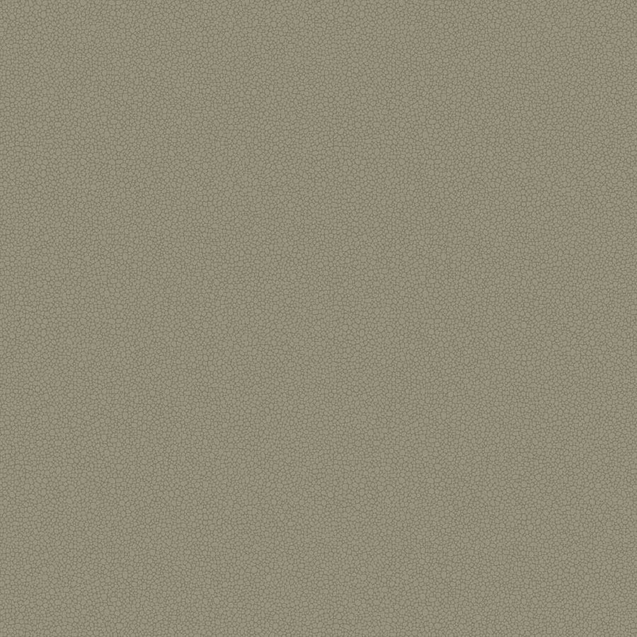 Pebble Wallpaper by Cole & Son - 106/2020 | Modern 2 Interiors